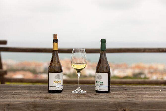 Manilva Oceanfront Wine Experience in the Marbella Area - Final Relaxation and Local Flavors