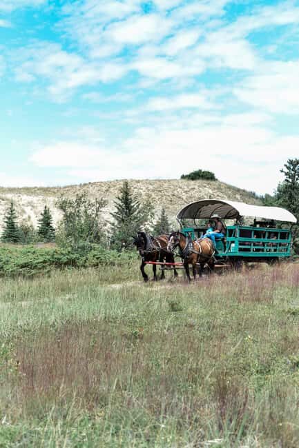 Manitoba: Horse-Drawn Wagon Ride in Spruce Woods Park - Key Points