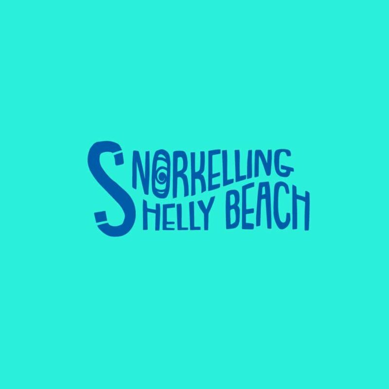 Manly Beach Guided Snorkeling Tours - Key Points