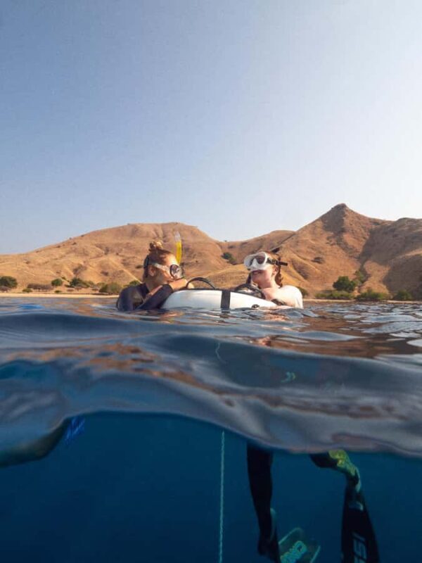 Manly: Beginner Freediving: Breath-Hold & Ocean Exploration - Potential Drawbacks or Considerations