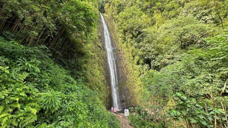 Manoa Falls eBike to Hike - Key Points
