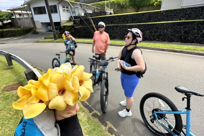 Manoa Falls-Electric Bike to Hike Experience Local meal included - Key Points