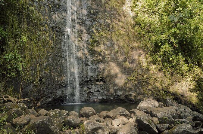 Manoa Waterfall Hike From Waikiki With Healthy Lunch Included - Exploring the Manoa Waterfall Hike From Waikiki: A Detailed Look