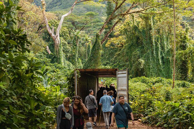 Manoa Waterfall Hike From Waikiki With Healthy Lunch Included - Final Thoughts