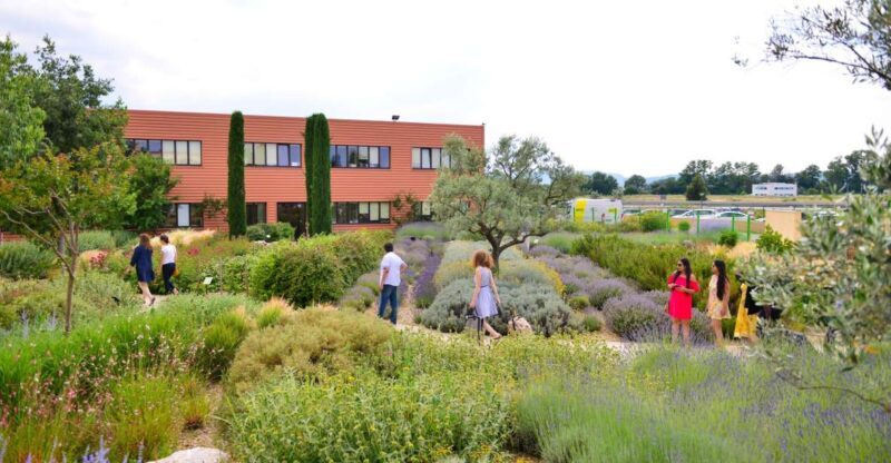 Manosque: L'Occitane en Provence Guided Factory Tour - The Real Experience: Pros and Cons