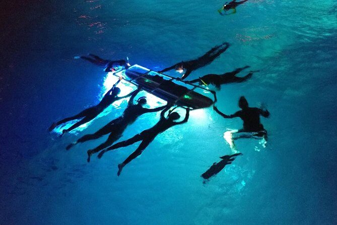 Manta Mania - Manta Ray Night Snorkel - Small-Group Experience In Kona, Hawaii - Who Should Consider This Tour?