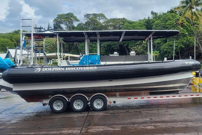 Manta Ray Night Snorkel at Kona, Big Island - The Sum Up
