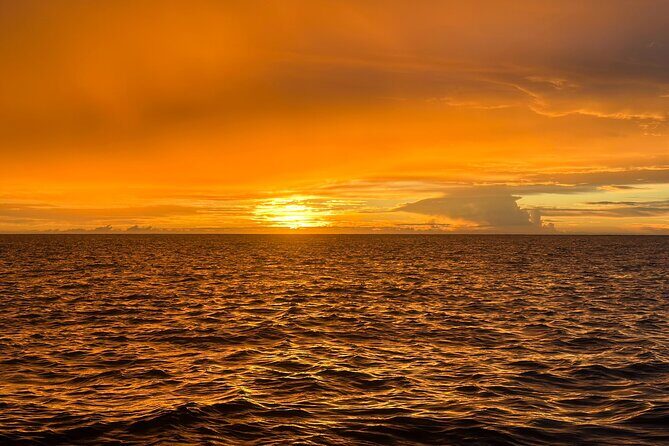 Manta Ray Night Snorkel - Who Is This Tour Best For?