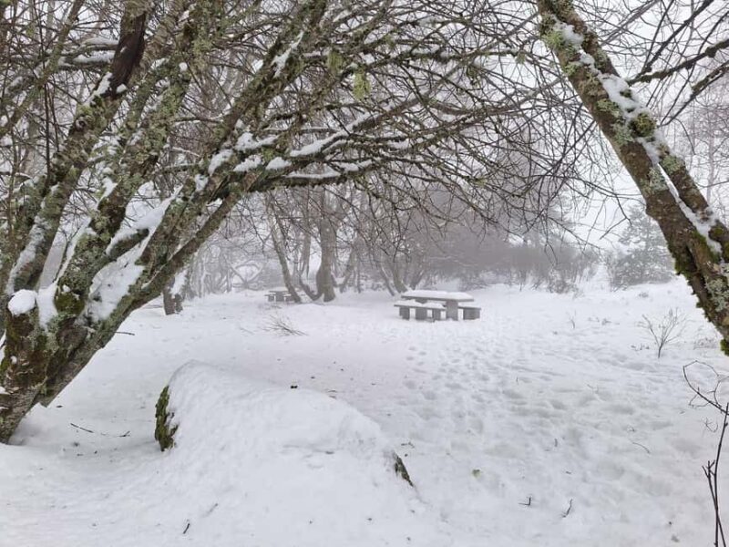 Manteigas: 2-Hour Customizable 4x4 Jeep Tour in Serra da Estrela - What to Expect During the Ride