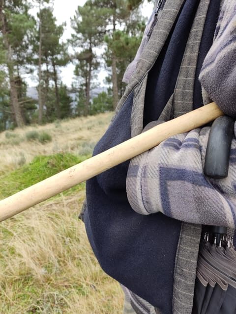 Manteigas: Serra da Estrela Shepherd Path Hike with Shepherd - What Travelers Say