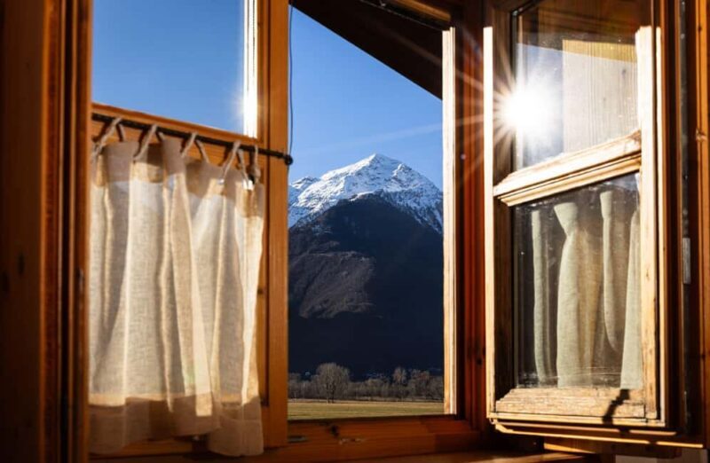 Mantello: Farm Tour with Cheese Making Workshop - Animal Encounters and Farm Life