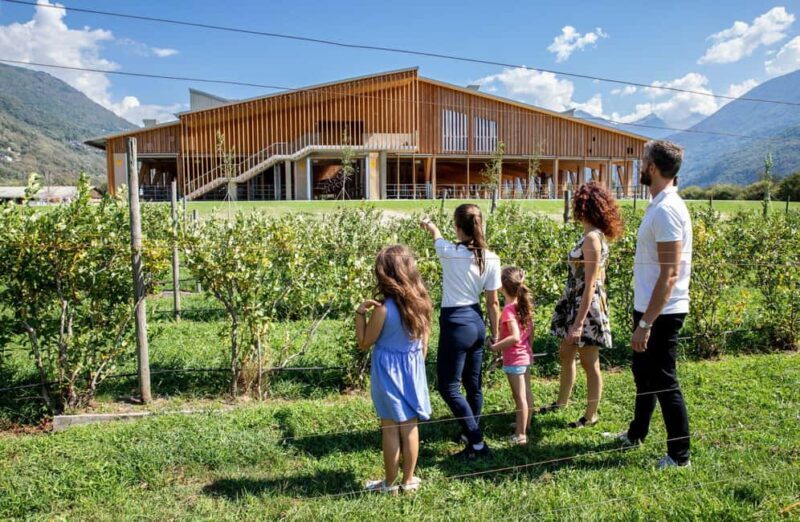 Mantello: Farm Tour with Cheese Making Workshop - Practical Details and Logistics