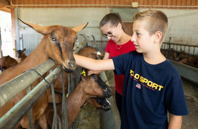 Mantello: Farm Tour with Cheese Making Workshop - The Value of the Experience