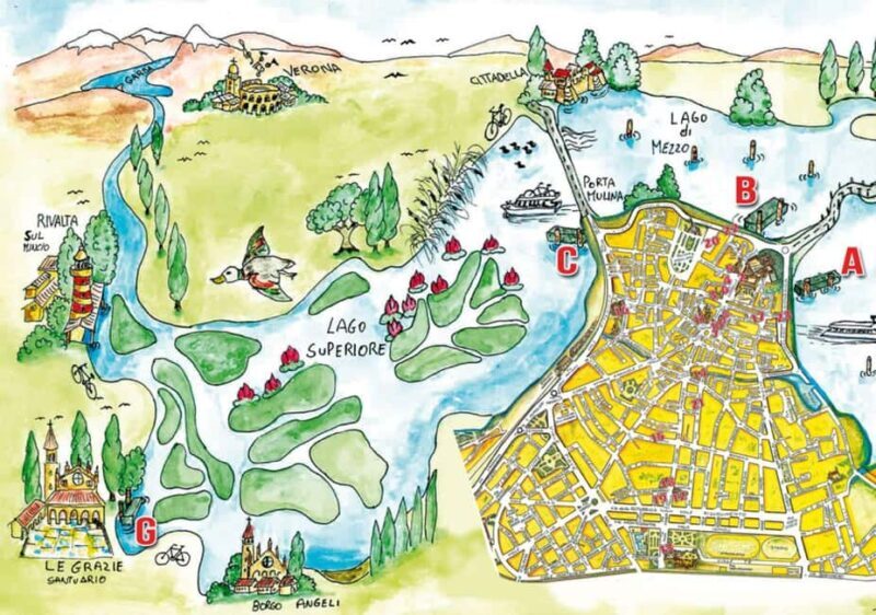 Mantua: Boating on Lake Superiore among the Lotus Flower Islands - Who Should Consider This Experience?