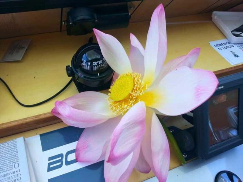 Mantua: Boating on Lake Superiore among the Lotus Flower Islands - Final Thoughts