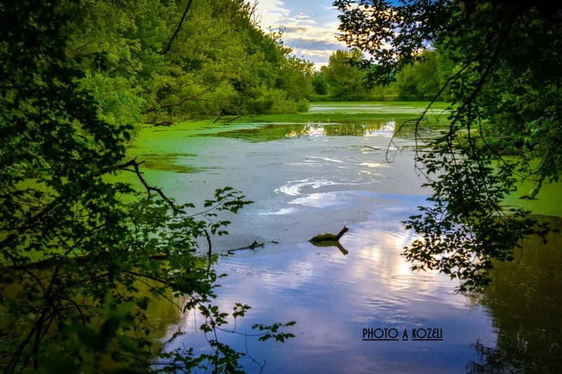 Mantua: Panoramic city navigation + protected oasis + guide on board - Who Would This Tour Suit?