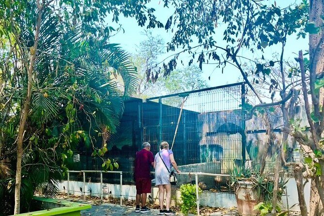 Manzanillo Tour with Transportation and Face-to-face Guide - Who Should Consider This Tour?