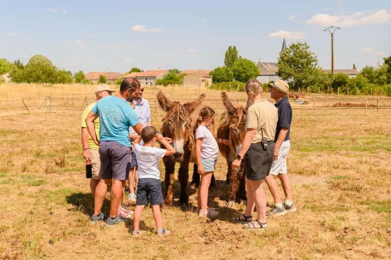 Marais Poitevin: A day of discovery in the footsteps of Baudet - FAQ