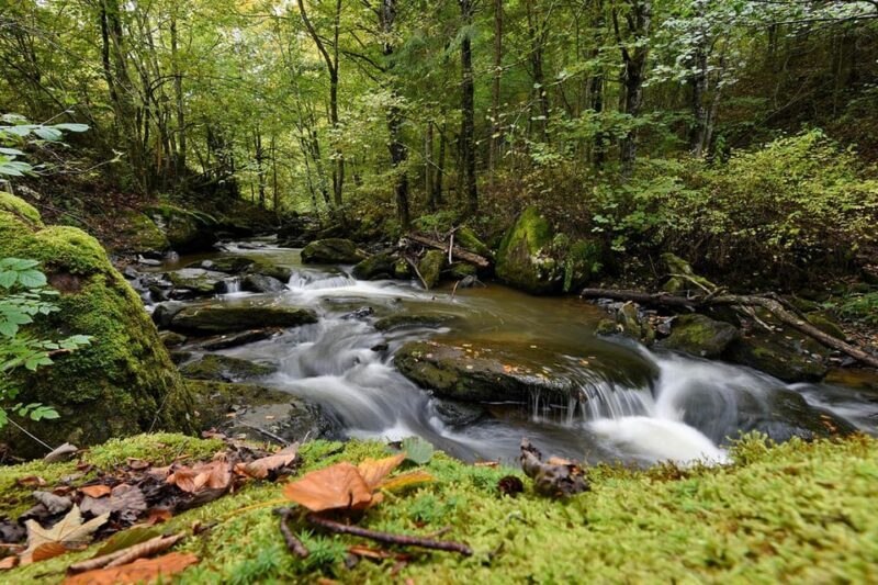 Maramure Mountain Trail - Is It Worth the Price?