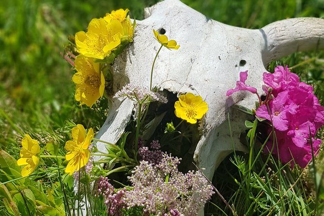 Maramures Activ Tour - In Closing