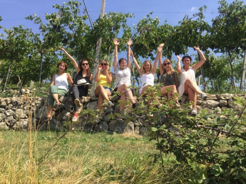 Marano di Valpolicella: DOP Olive Oil Tasting Experience - Key Points