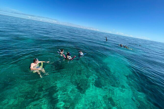 Marathon Coffins Patch Reef Snorkel & Sandbar Tour - The Weather and Conditions