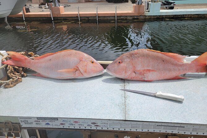 Marathon Florida Keys Fishing Experience - What’s the Real Value?