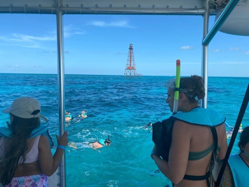 Marathon: Snorkeling Adventure by Boat at Sombrero Reef - Marine Life and the Reefs