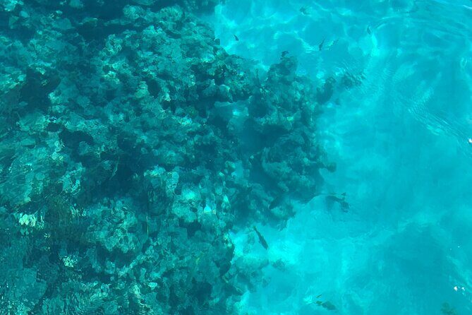 Marathon Sombrero Reef Snorkeling and Sandbar Swim - What to Expect from the Tour