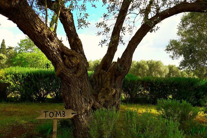 Marathon, Thermopylae/ Herodotus History private tour (9 hours) - The Experience: What’s Good and What’s Not