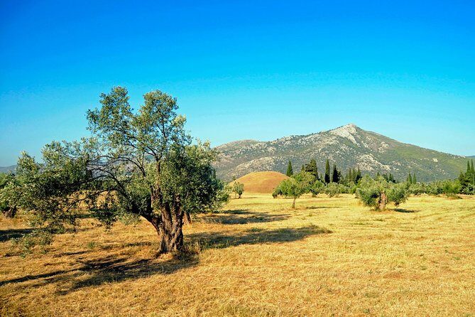 Marathon, Thermopylae, Thebes/Plataea, Herodotus Private Tour 10h - Final Thoughts