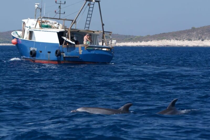 Marbella: Dolphin Watching Boat Tour - Food and Drinks