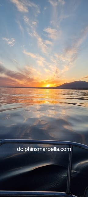 Marbella: Dolphin-Watching Sailboat Trip with Drinks, Snacks - Key Points