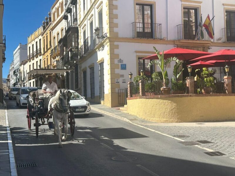Marbella/Estep. Private VIP-Tour Ronda incl. Tapas & Drinks - Key Points