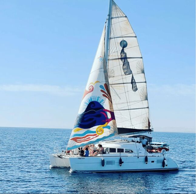 Marbella: Group Dolphin Watching Catamaran Tour with Drinks - Key Points