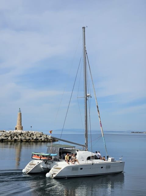Marbella: Group Dolphin Watching Catamaran Tour with Drinks - Real Traveler Feedback