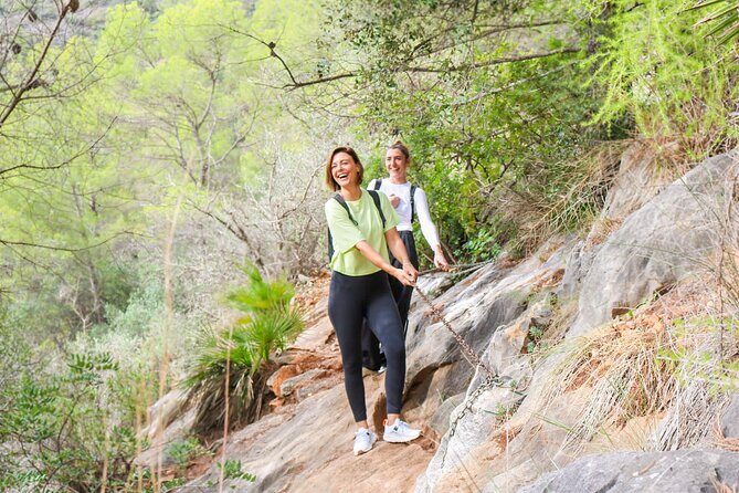 Marbella Guided Hiking and Foraging Adventure - What to Expect from the Marbella Guided Hiking and Foraging Adventure