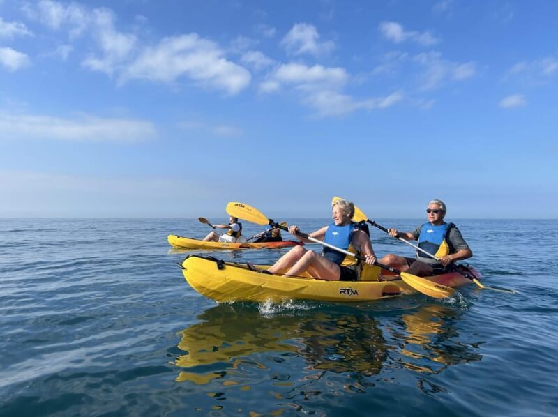 Marbella: Guided Kayak Tour in Puerto Banús - Key Points