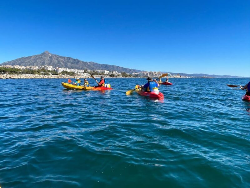 Marbella: Guided Kayak Tour in Puerto Banús - The Fun and Learning Elements