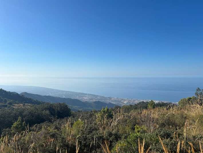 Marbella: "La Concha" mountain tour including snack and drink - The Initial Forest Hike