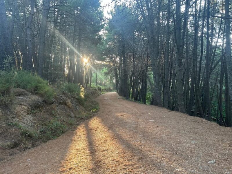 Marbella: "La Concha" mountain tour including snack and drink - The More Adventurous Final Climb