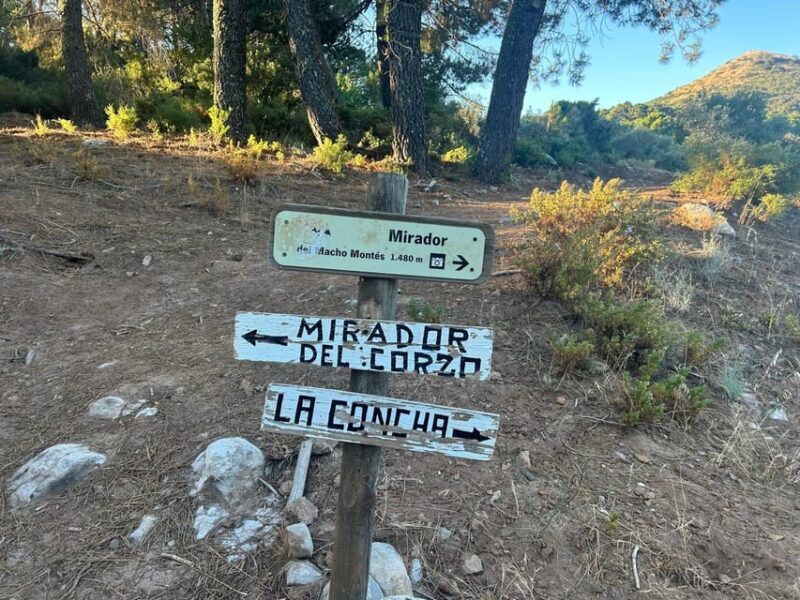 Marbella: "La Concha" mountain tour including snack and drink - Wildlife and Nature