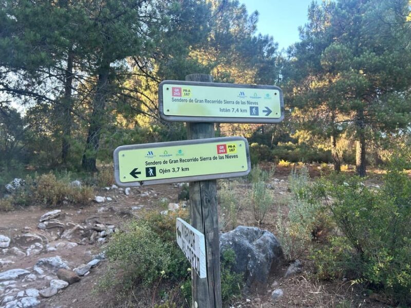Marbella: "La Concha" mountain tour including snack and drink - Practical Details