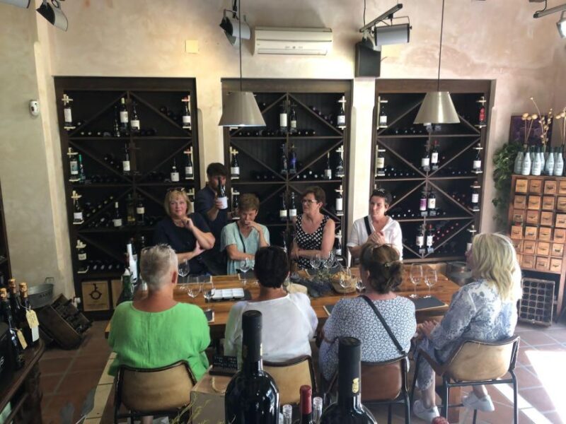 Marbella Old town Tour & Premium Tasting experience - The Tasting Experience: Wines and Olive Oils