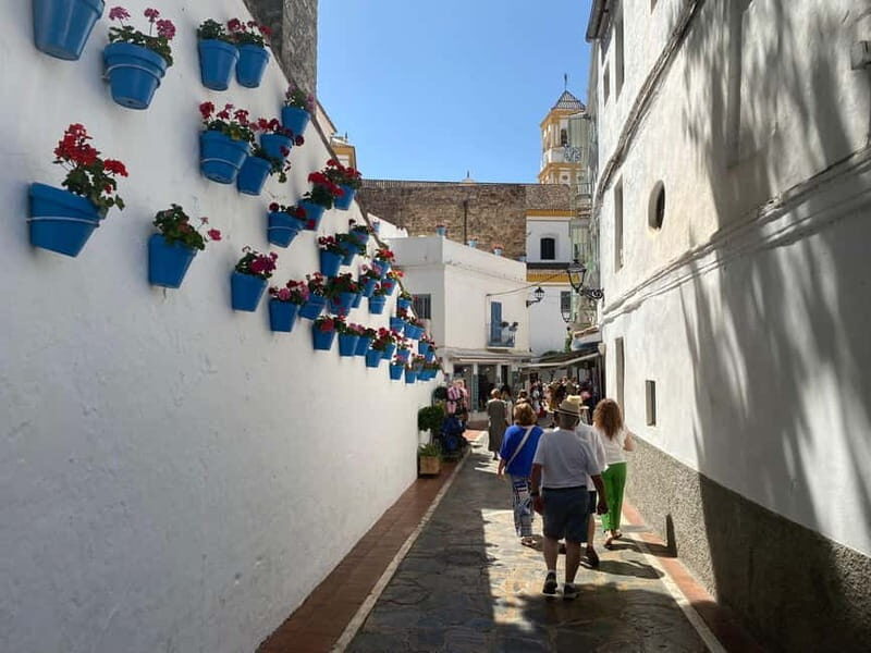 Marbella: Private guided city tour with tapas tasting - What the Tour Covers and Why It Matters