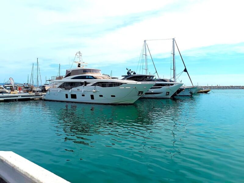 Marbella private tour & Puerto Banus to walk on your own - Who Should Consider This Tour?