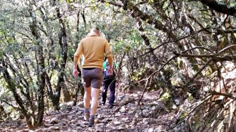 Marbella: Sierra de las Nieves National Park Hiking Day Trip - Key Points