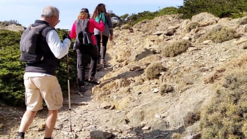 Marbella: Sierra de las Nieves National Park Hiking Day Trip - What to Expect from the Journey