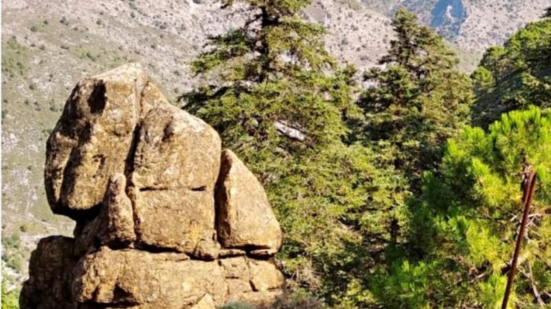 Marbella: Sierra de las Nieves National Park Hiking Day Trip - Practical Tips for Your Trip