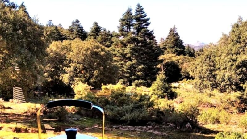 Marbella: Sierra de las Nieves National Park Hiking Day Trip - FAQs